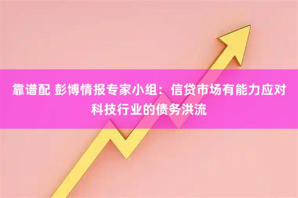 靠谱配 彭博情报专家小组：信贷市场有能力应对科技行业的债务洪流