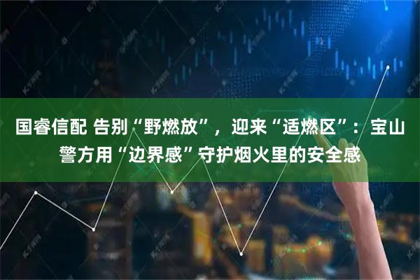 国睿信配 告别“野燃放”，迎来“适燃区”：宝山警方用“边界感”守护烟火里的安全感