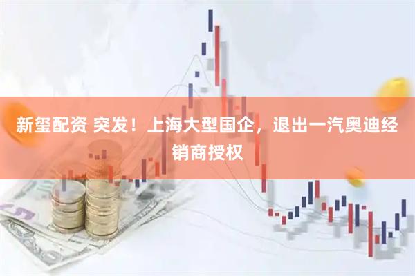 新玺配资 突发!上海大型国企,退出一汽奥迪经销商授权